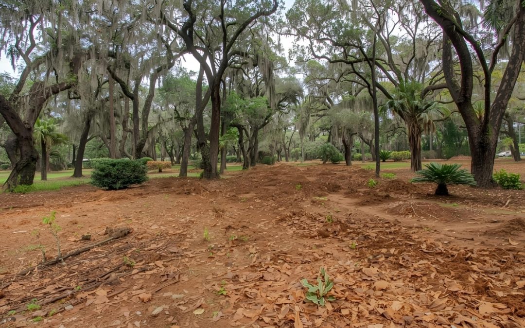 Why Land Clearing Matters for Dade City Properties