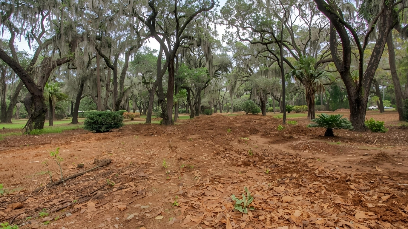 Common Reasons Land Clearing Matters in Dade City Common Reasons Land Clearing Matters in Dade City